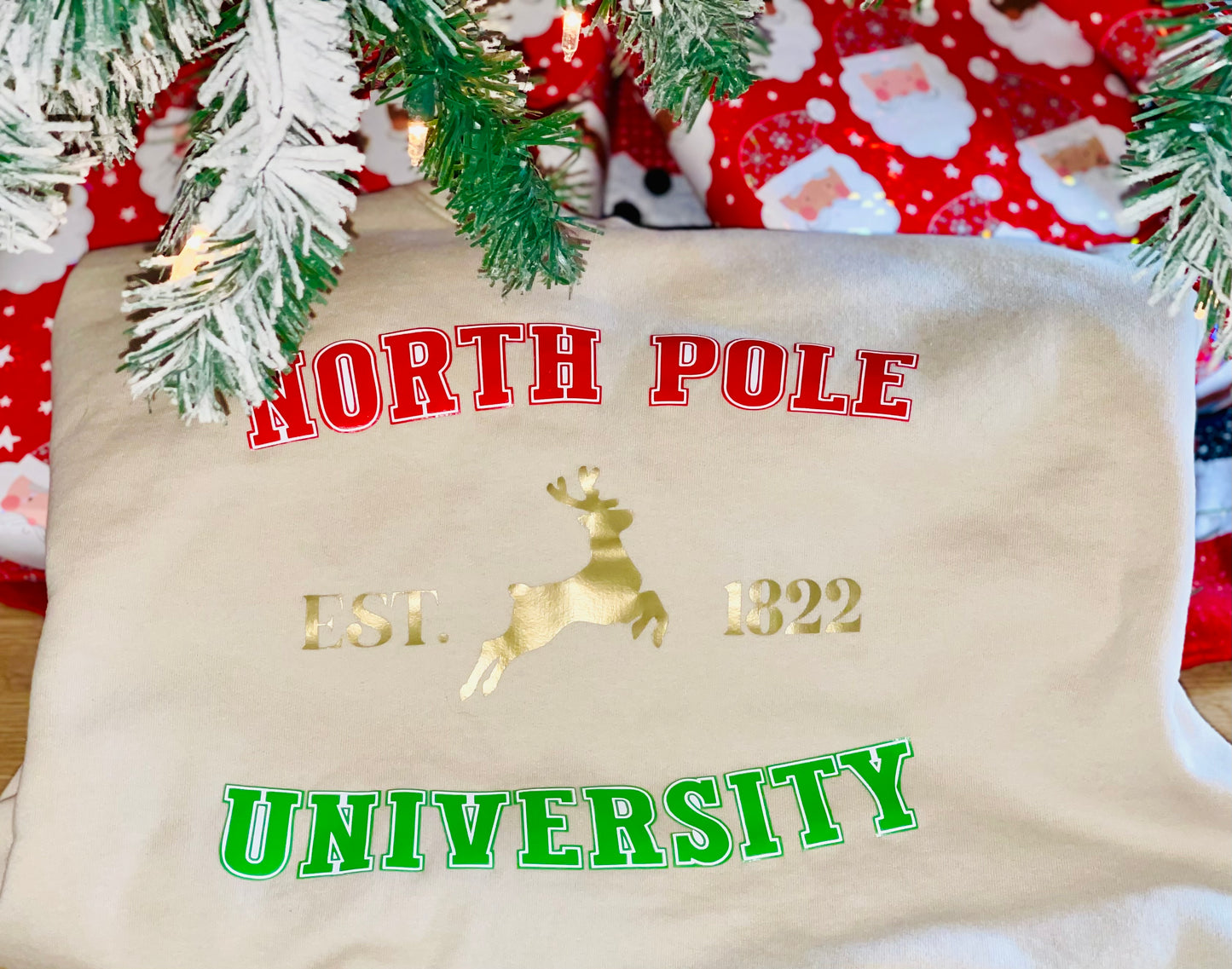 North Pole University