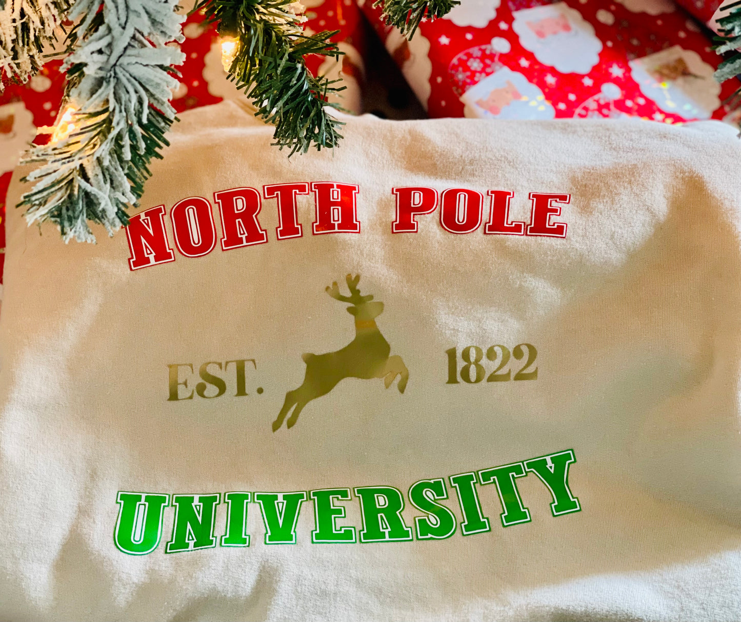 North Pole University